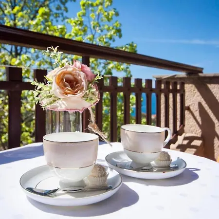 & Smile Dolac Primo - With Terrace And Garden View * Primošten